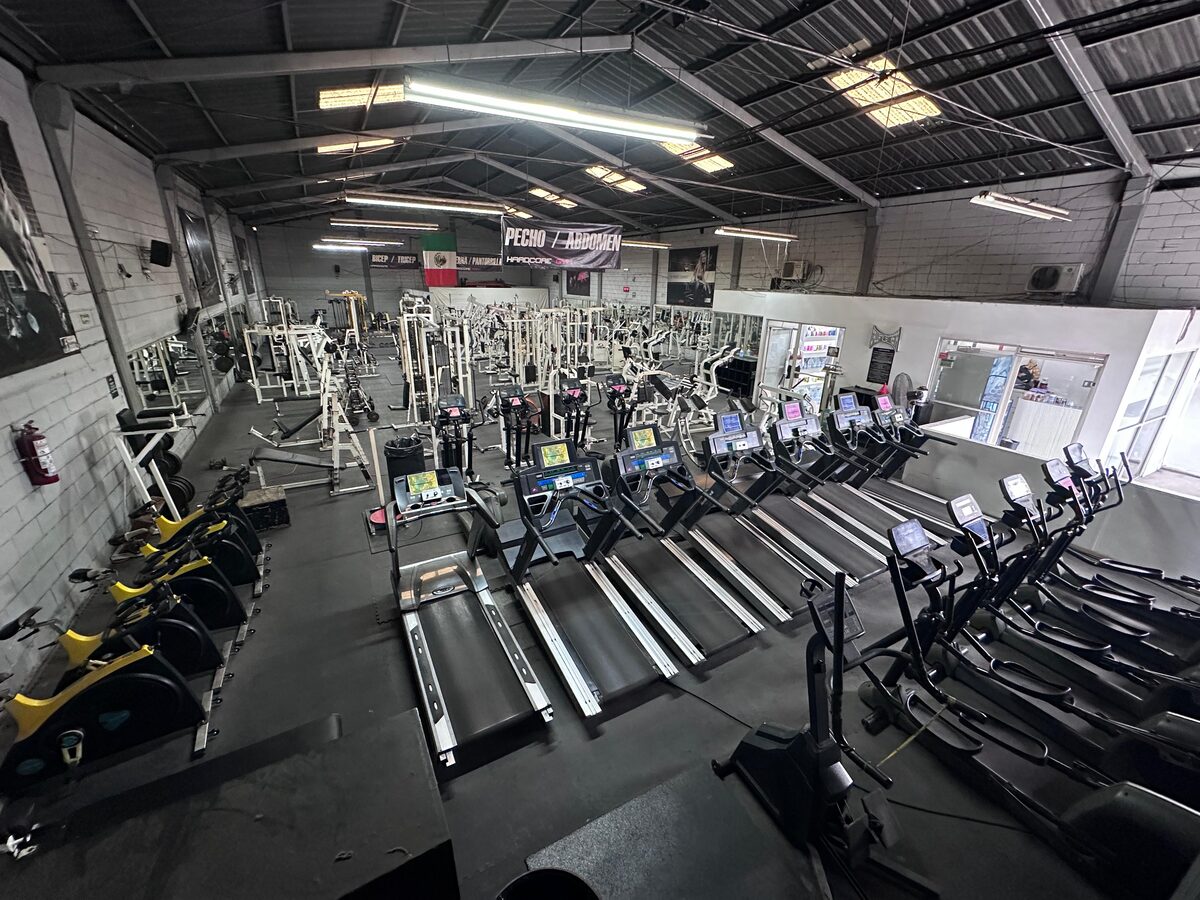 Zona de cardio de Hardcore Gym con hilera de caminadoras y elípticas
