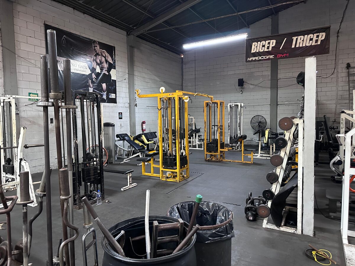 Estaciones de poleas y cables para bíceps y tríceps en Hardcore Gym